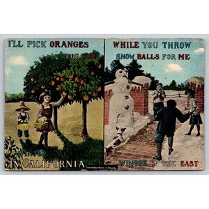 1913 California vs East coast Winter Postcard A. Panosian Oranges & Snowballs
